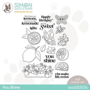 Simon Says Clear Stamps YOU SHINE sss202553c